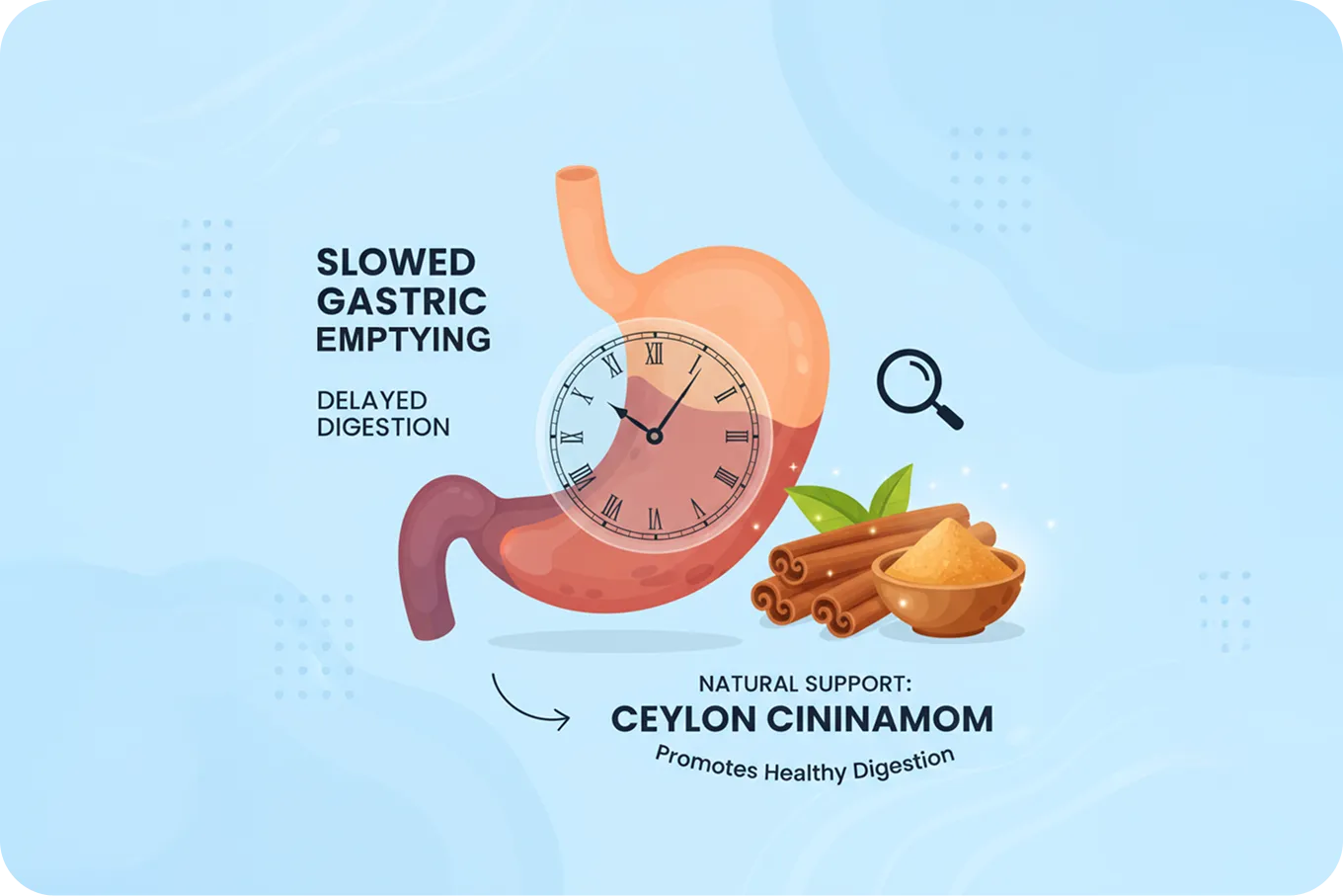 Ceylon Cinnamon's Complementary Mechanisms​