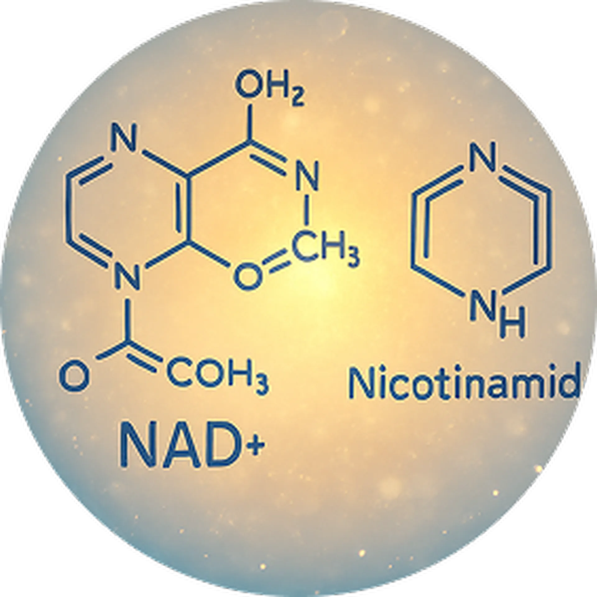 Introduction Why NAD+ and Nicotinamide Are Central in Longevity Science