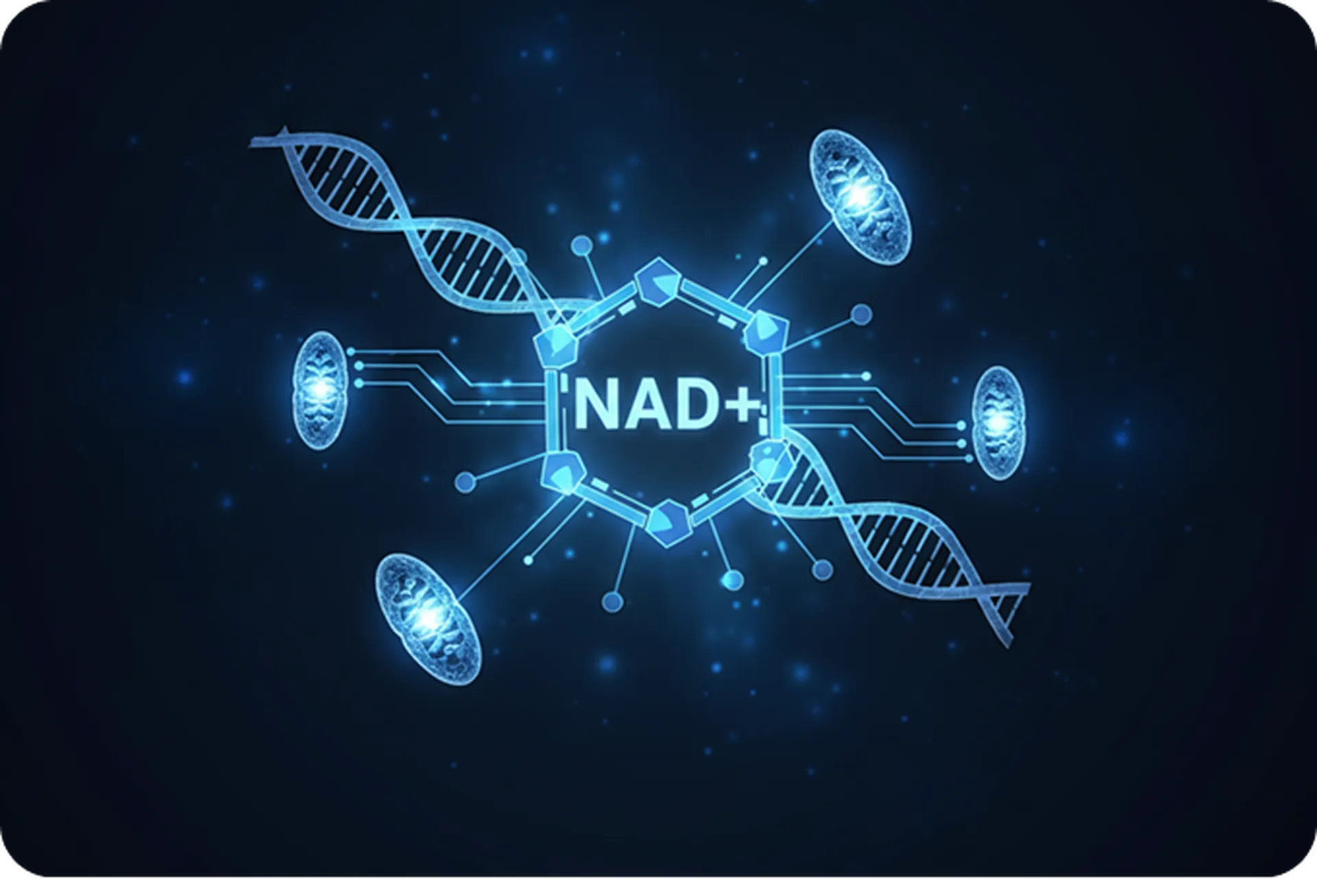 Nad+