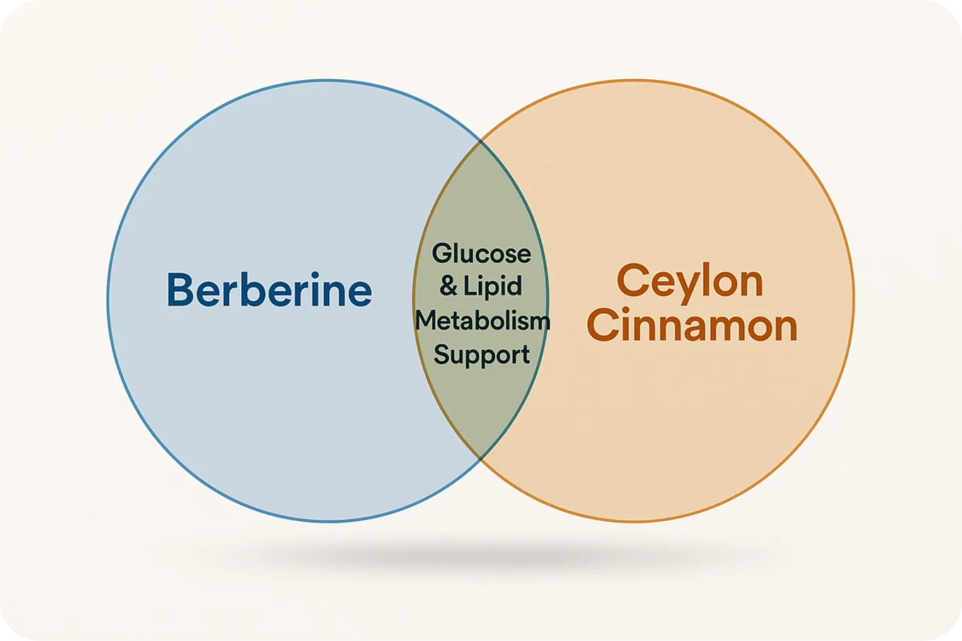 The Science of Synergy How These Compounds Work Together​
