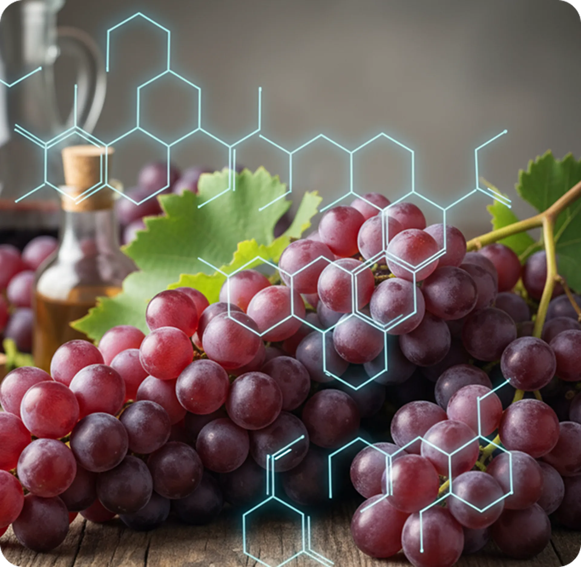 wine molecule_mobile