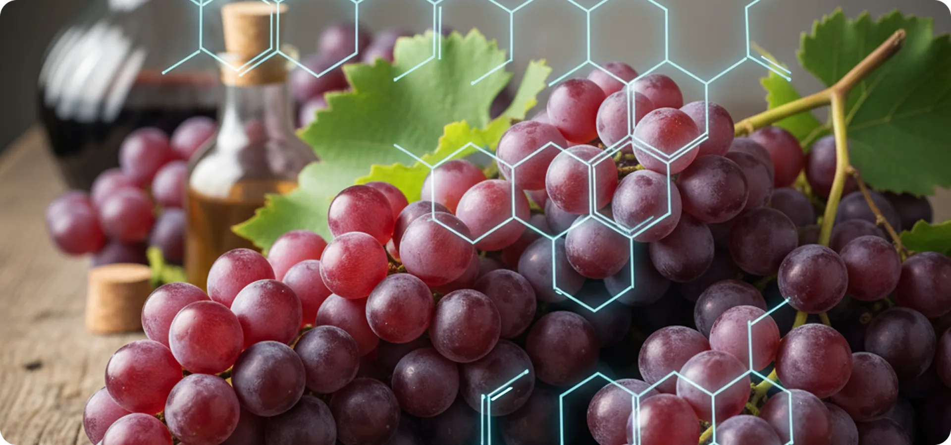 wine molecule